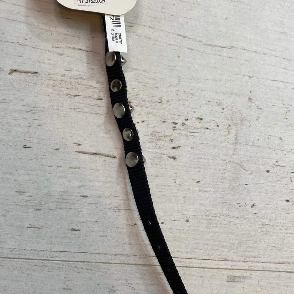 Bond & Co. Black Skull and Crossbones Studded XXS Collar For Dogs